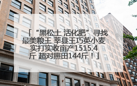 “黑松土 活化肥”寻找最美粮王 莘县王巧英小麦实打实收亩产1515.4斤 超对照田144斤！