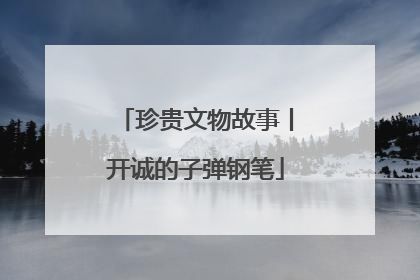 珍贵文物故事丨开诚的子弹钢笔