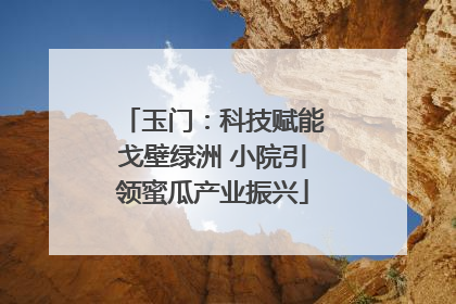 玉门：科技赋能戈壁绿洲 小院引领蜜瓜产业振兴