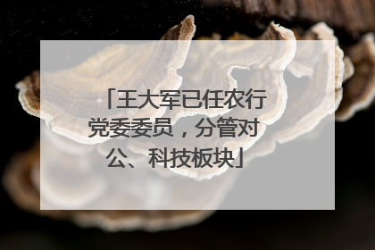 王大军已任农行党委委员，分管对公、科技板块