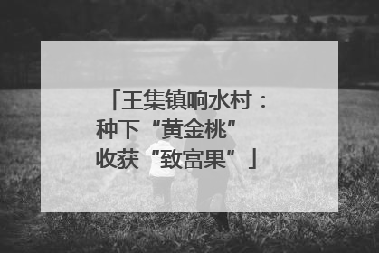 王集镇响水村：种下“黄金桃” 收获“致富果”