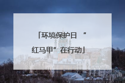 环境保护日 “红马甲”在行动