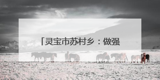 灵宝市苏村乡：做强做优特色农业产业
