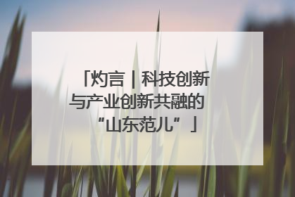 灼言｜科技创新与产业创新共融的“山东范儿”