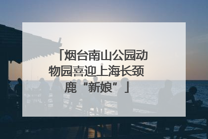 烟台南山公园动物园喜迎上海长颈鹿“新娘”