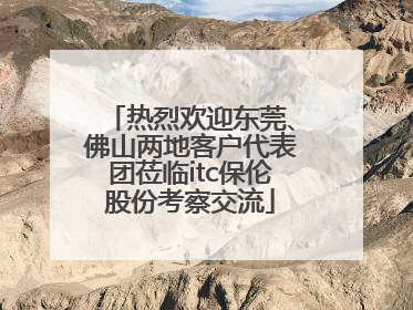 热烈欢迎东莞、佛山两地客户代表团莅临itc保伦股份考察交流
