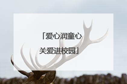 爱心润童心 关爱进校园