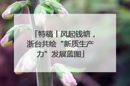 特稿丨风起钱塘，浙台共绘“新质生产力”发展蓝图
