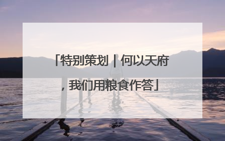 特别策划｜何以天府，我们用粮食作答