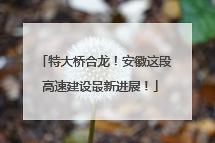 特大桥合龙！安徽这段高速建设最新进展！
