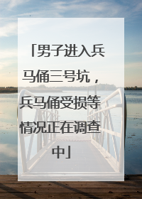 男子进入兵马俑三号坑，兵马俑受损等情况正在调查中