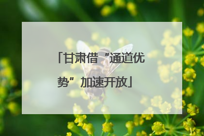 甘肃借“通道优势”加速开放