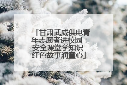 甘肃武威供电青年志愿者进校园：安全课堂学知识 红色故事润童心