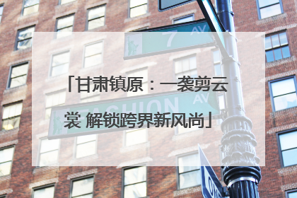 甘肃镇原：一袭剪云裳 解锁跨界新风尚