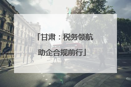 甘肃：税务领航 助企合规前行
