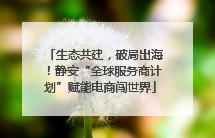 生态共建，破局出海！静安“全球服务商计划”赋能电商闯世界