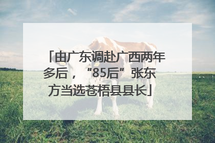 由广东调赴广西两年多后，“85后”张东方当选苍梧县县长
