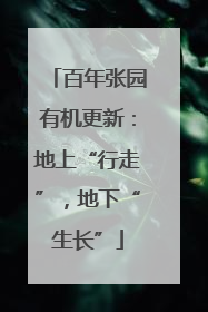 百年张园有机更新：地上“行走”，地下“生长”
