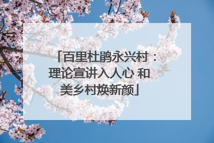 百里杜鹃永兴村：理论宣讲入人心 和美乡村焕新颜