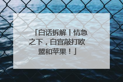 白话拆解丨情急之下，白宫敲打欧盟和苹果！
