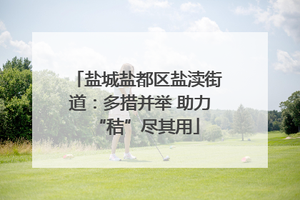 盐城盐都区盐渎街道：多措并举 助力“秸”尽其用