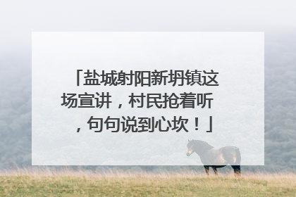 盐城射阳新坍镇这场宣讲，村民抢着听，句句说到心坎！