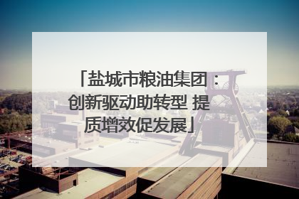 盐城市粮油集团：创新驱动助转型 提质增效促发展