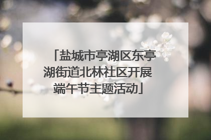 盐城市亭湖区东亭湖街道北林社区开展端午节主题活动
