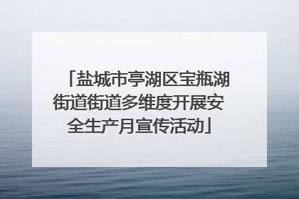 盐城市亭湖区宝瓶湖街道街道多维度开展安全生产月宣传活动