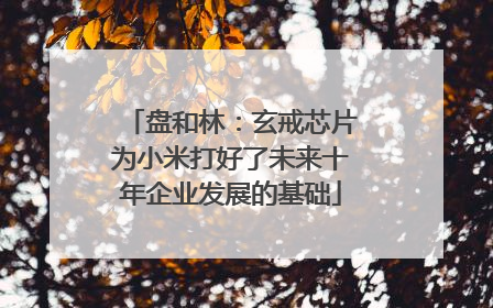 盘和林：玄戒芯片为小米打好了未来十年企业发展的基础