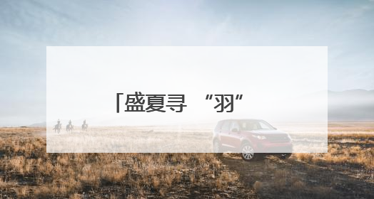 盛夏寻 “羽” 记：滇池观鸟掀起生态旅游新风尚