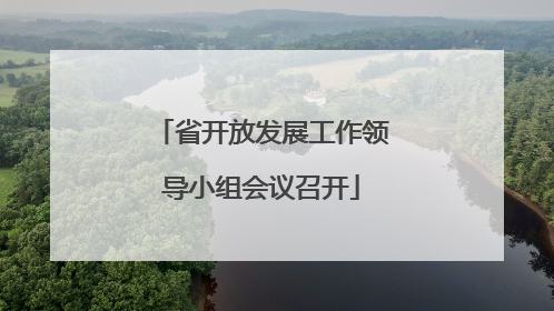 省开放发展工作领导小组会议召开