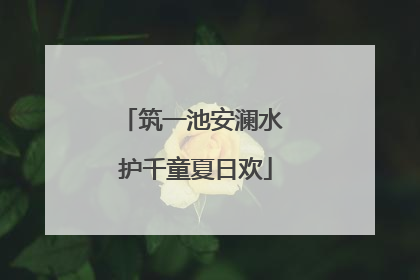 筑一池安澜水 护千童夏日欢