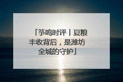 筝鸣时评丨夏粮丰收背后，是潍坊全城的守护