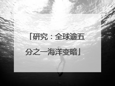 研究：全球逾五分之一海洋变暗