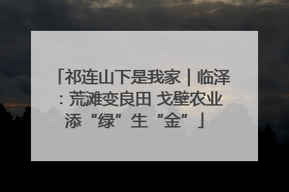 祁连山下是我家｜临泽：荒滩变良田 戈壁农业添“绿”生“金”