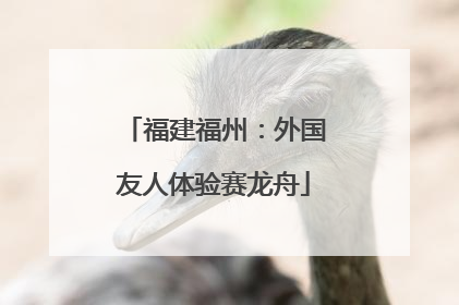 福建福州：外国友人体验赛龙舟