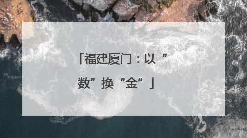 福建厦门：以“数”换“金”
