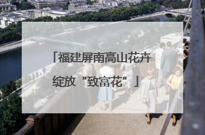 福建屏南高山花卉绽放“致富花”