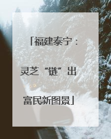 福建泰宁：灵芝“链”出富民新图景