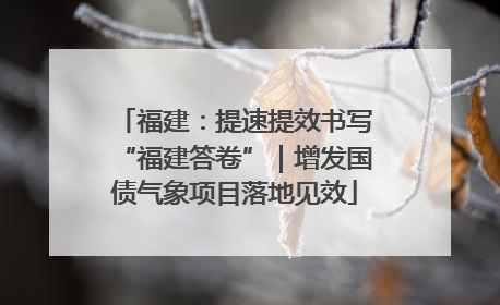 福建：提速提效书写“福建答卷”｜增发国债气象项目落地见效