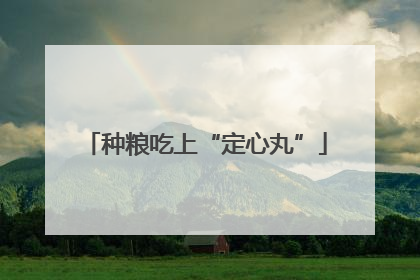 种粮吃上“定心丸”