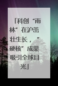 科创“雨林”在沪茁壮生长，“硬核”成果吸引全球目光