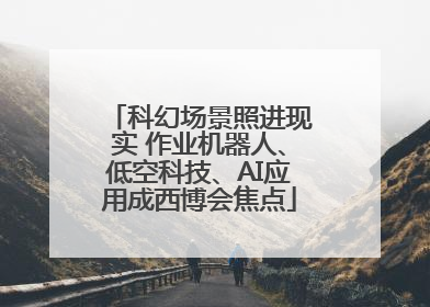科幻场景照进现实 作业机器人、低空科技、AI应用成西博会焦点