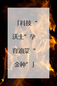 科技“沃土”孕育油菜“金种”