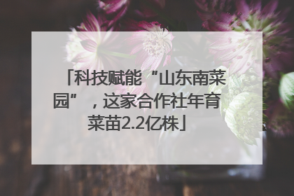 科技赋能“山东南菜园”，这家合作社年育菜苗2.2亿株