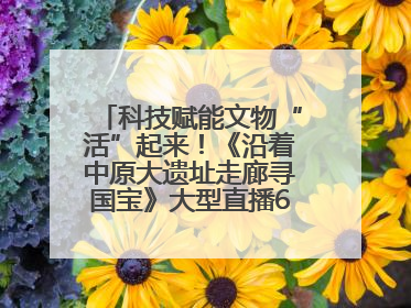 科技赋能文物“活”起来！《沿着中原大遗址走廊寻国宝》大型直播6月14日启幕