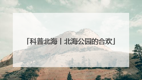 科普北海丨北海公园的合欢