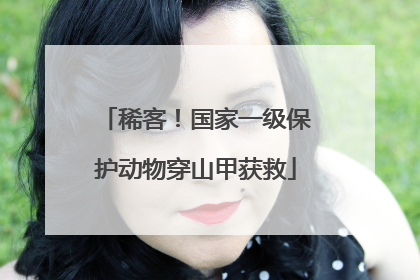 稀客！国家一级保护动物穿山甲获救