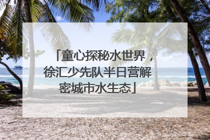 童心探秘水世界，徐汇少先队半日营解密城市水生态